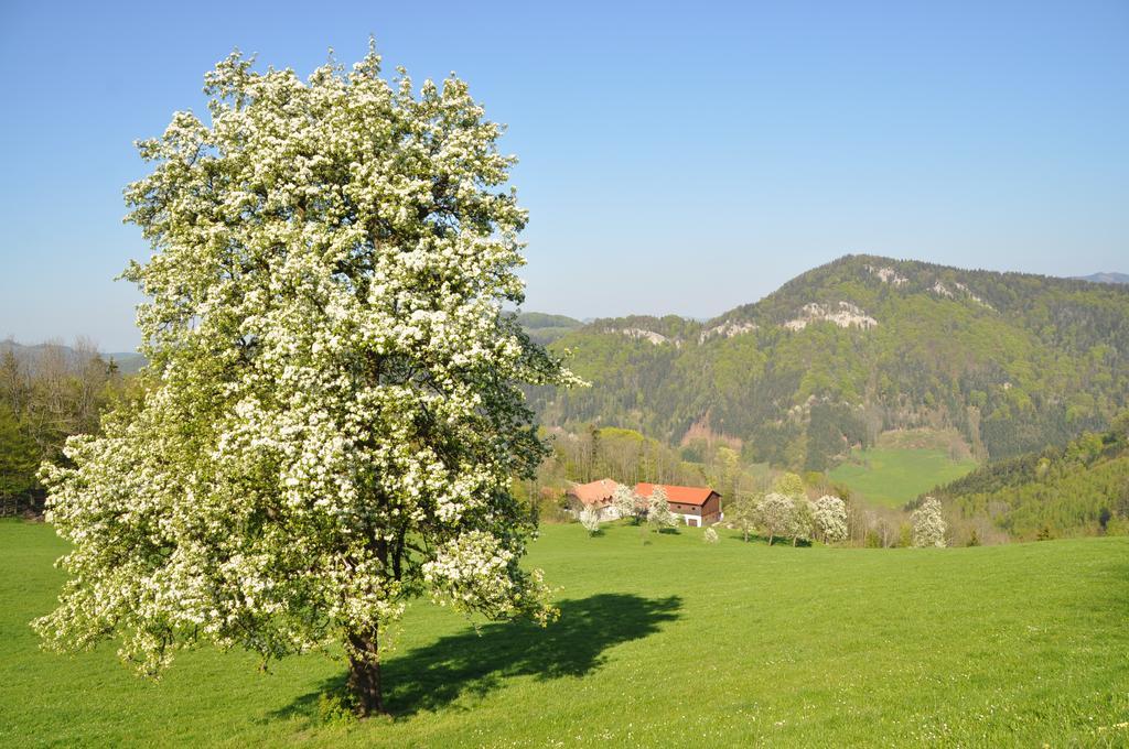 Apart Dirndltal Loich Exteriér fotografie
